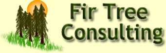 Fir Tree Consulting, Bristol